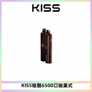 KIS5WAGOO哇酷6500口拋棄式 | 自由混搭雙口味 | 雙芯組合
