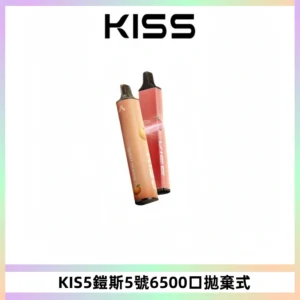 KIS5鎧斯5號一次性6500口磁吸式拋棄式電子煙#自由混搭#